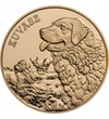 Kuvasz, 3000 forint, Magyarország, 2025