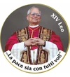 XIV. Leó pápa, színes érem