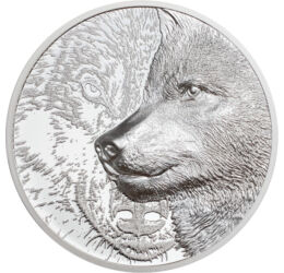 A szeretett-gonosz farkas, 500 tugrik, ezüst, Mongólia, 2021