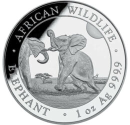 100 shilling, Elefántborjú, színsúly, Ag 9999, 31,1 g, Szomália, 2024