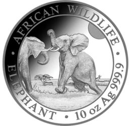 1000 shilling, Elefántborjú, színsúly, Ag 9999, 311 g, Szomália, 2024