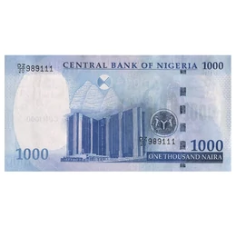 1000 naira, , 0, 0, Nigéria, 2024