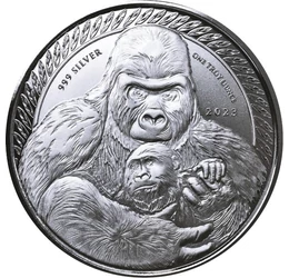 KON/ 500frank,Ezüsthátú gorilla,Ag,2023, Kongó