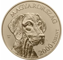 // 2000 forint, Magyar vizsla, réz-nikkel, Magyarország, 2019 // 