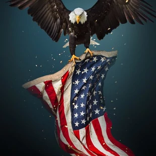 Az USA elnökei 1 dolláros érméken - Érmegyűjtői kisokos 18. rész