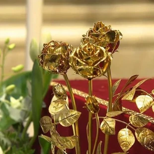 A pápai arany rózsa