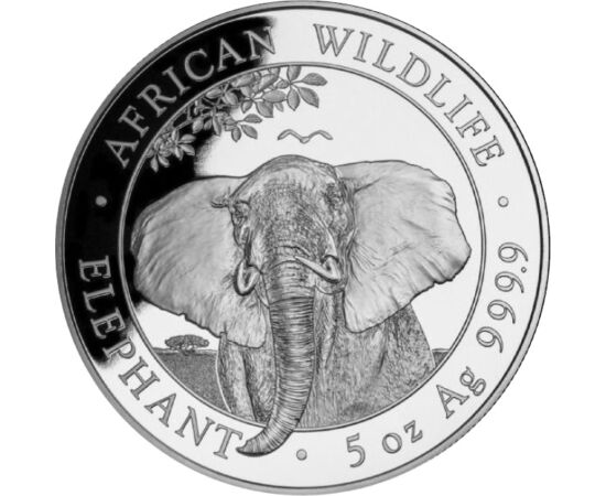500 shilling,Elefánt,5 unc,Ag,2021 Szomália