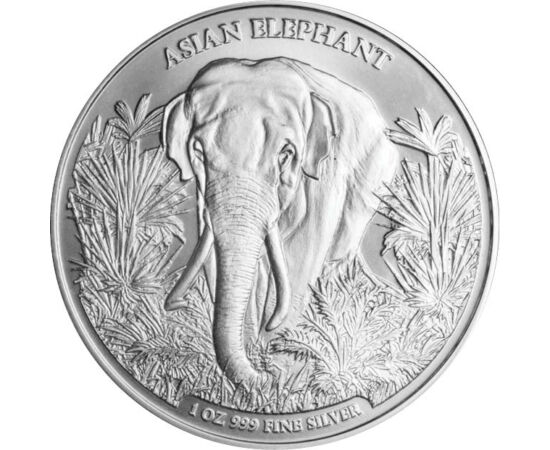3000 riel, Ázsiai elefánt, Ag 999, 31,1 g, Kambodzsa, 2023