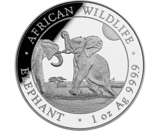 100 shilling, Elefántborjú, színsúly, Ag 9999, 31,1 g, Szomália, 2024