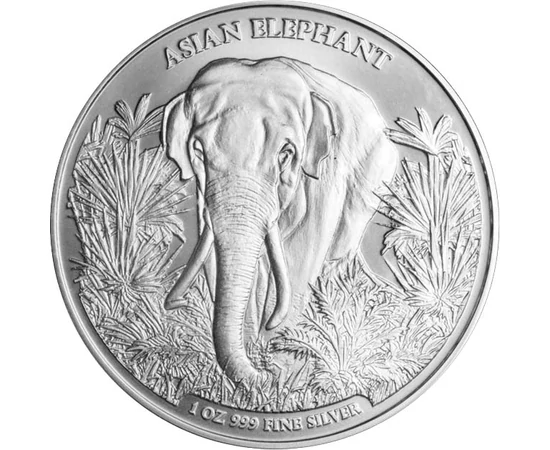 CAM/ 3000 riel, Ázsiai elefánt,Ag,2023, Kambodzsa