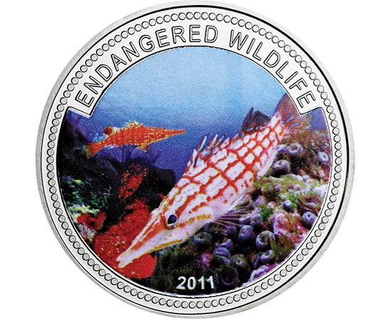 1 dollár, Hosszúorrú sólyomhal, , CuNi, 28 g, Palau, 2011