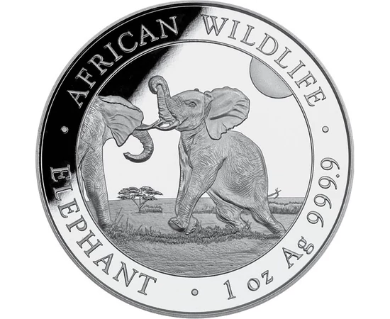 SOM/ 100shilling,Elefánt,Ag,2024, Szomália