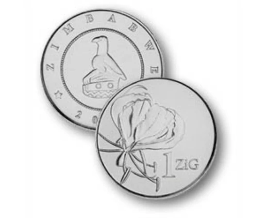 1 2 5 ZiG  0 0 Zimbabwe 2024