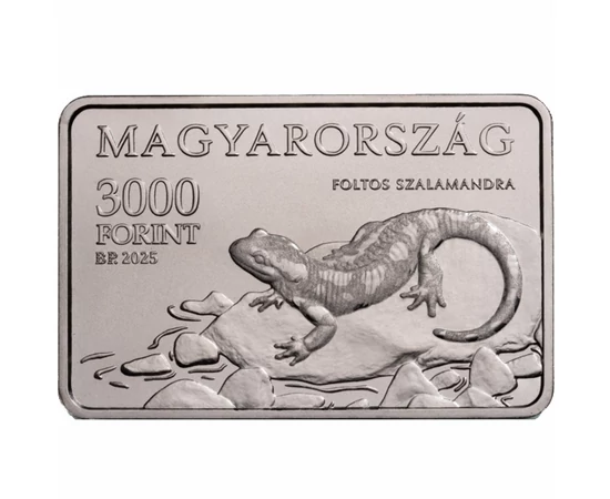 H/ 3000 Ft, Aggteleki NP, 2025, Magyarország