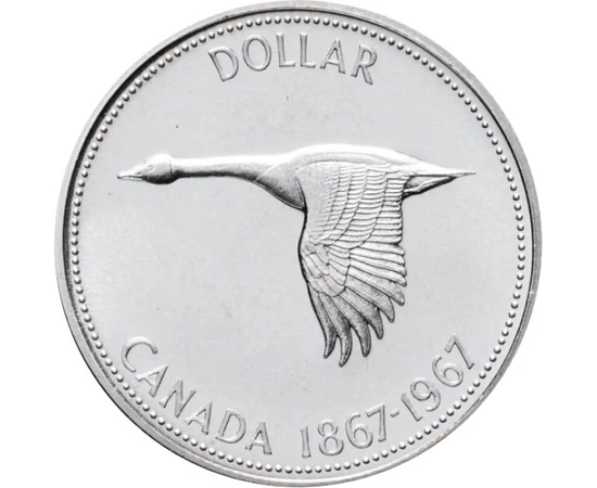  1 dollár, 