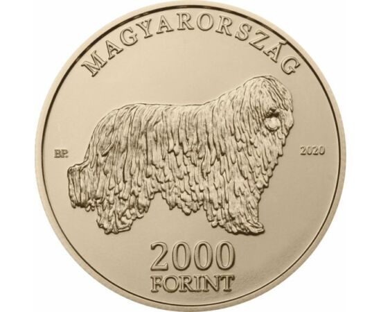 // 2000 forint, Komondor, réz-nikkel, Magyarország, 2020 // 