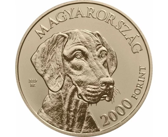 // 2000 forint, Magyar vizsla, réz-nikkel, Magyarország, 2019 // 