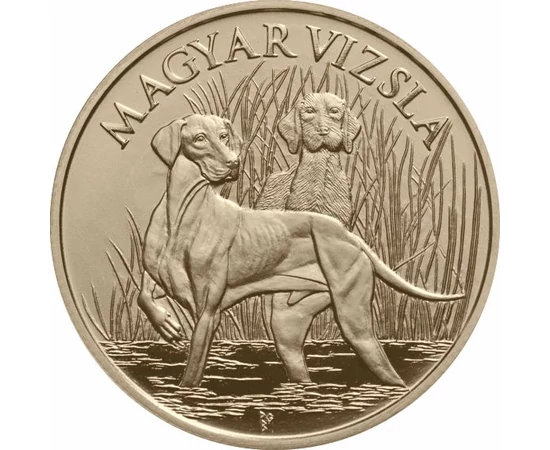 // 2000 forint, Magyar vizsla, réz-nikkel, Magyarország, 2019 // 