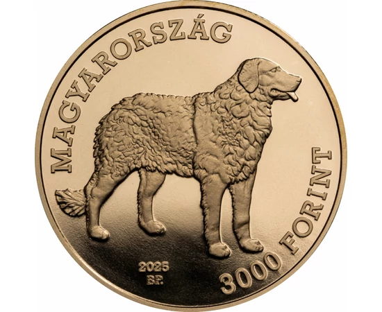 Kuvasz, 3000 forint, Magyarország, 2025