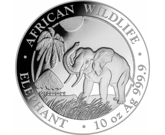 Elefánt, 1000 shilling, 10 uncia színezüst, Szomália, 2017