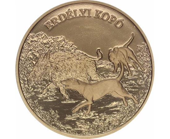 Erdélyi kopó, 3000 forint, Magyarország, 2023