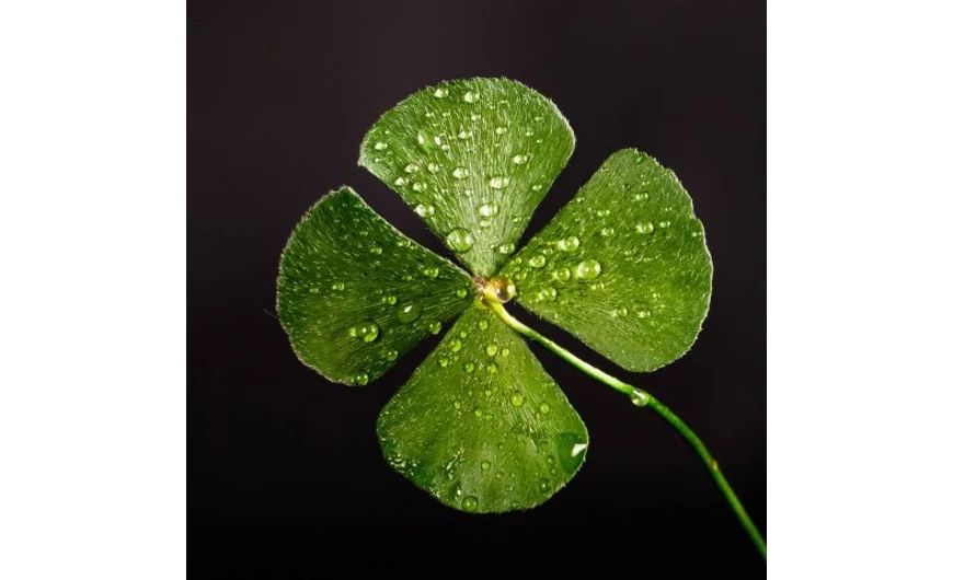 Szerencsepénzek mindenkinek