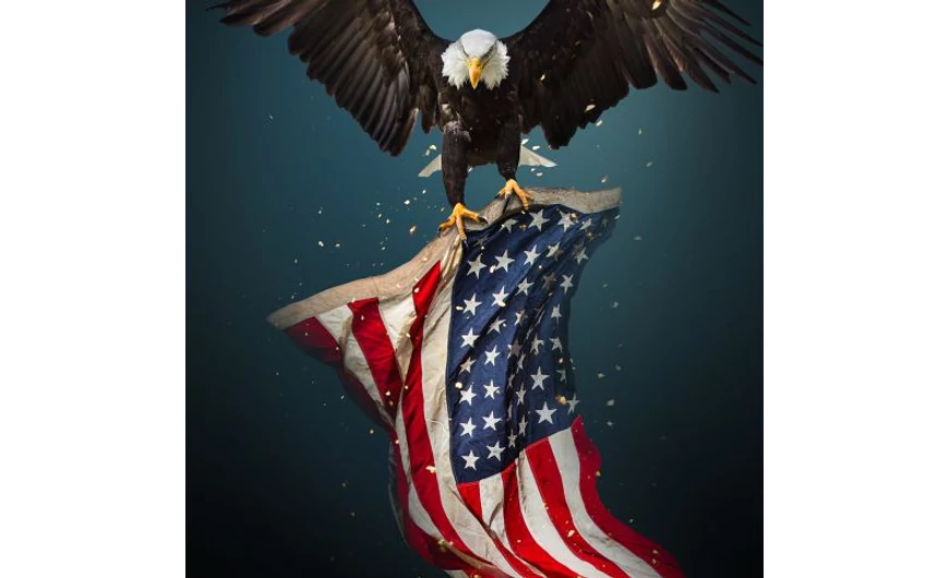 Az USA elnökei 1 dolláros érméken - Érmegyűjtői kisokos 18. rész